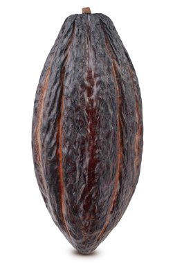 Kakao kabuğu. Beyaz arka planda izole edilmiş kakao kabuğu. Kesme yolu olan kakao çekirdeği.