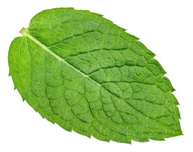 Nane yaprağı kapanışı beyaza izole edilmiş. Nane yaprağı kırpma yolu