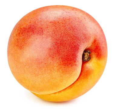 Kayısı beyaz arka planda izole edilmiş. Kayısı meyveli kırpma yolu. Kaliteli makro fotoğraf