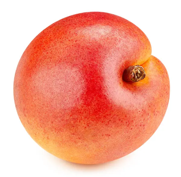 Abrikoos Geïsoleerd Witte Achtergrond Abrikozenfruit Knippad Kwaliteit Macro Foto — Stockfoto