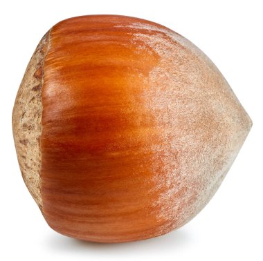 Fındık, beyaz arka planda izole edilmiş. Fındık Kırpma Yolu. Stüdyo makro çekimi