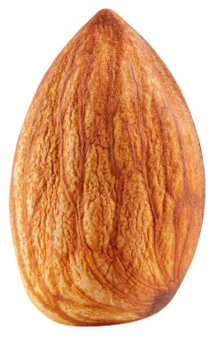 Olgun taze badem kesme yolu. Organik taze badem. Beyaz arkaplanda izole edilmiş bir badem.