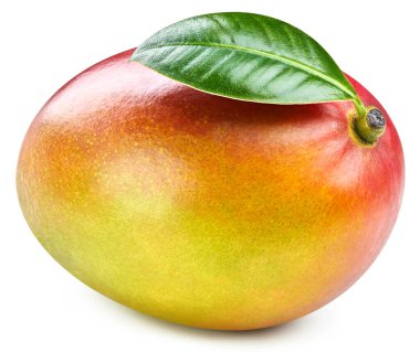 Beyaz arka planda yeşil yapraklı mango. Mango kırpma yolu.