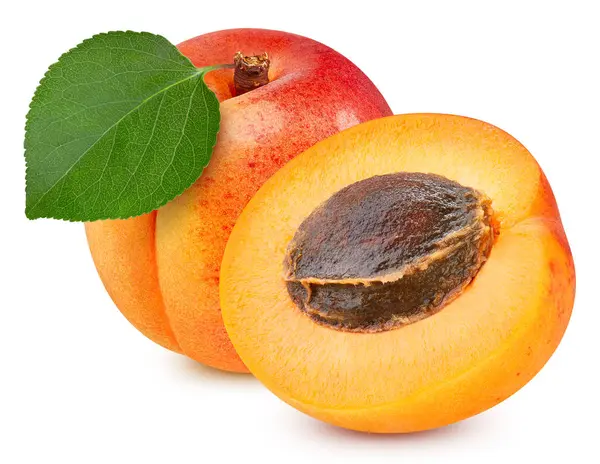 Fresh Apricot Isolated White Background Apricot Clipping Path Fresh Organic — Stock Photo, Image