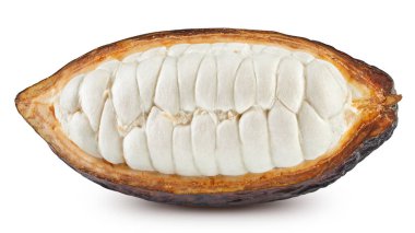 Beyaz arka planda kakao kabuğu ve kakao çekirdeği. Kesme yolu olan kakao çekirdeği.