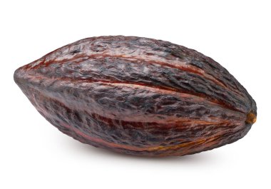 Beyaz arka planda kakao kabuğu. Kakao kabuğu izole edilmiş kırpma yolu