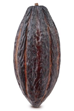 Kakao kabuğu. Beyaz arka planda izole edilmiş kakao kabuğu. Kesme yolu olan kakao çekirdeği.