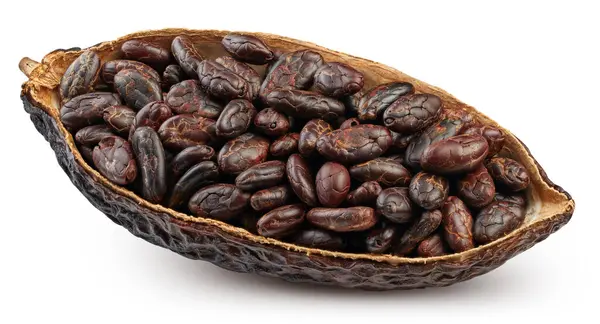 Kakaoschoten Und Kakaobohnen Schokolade Isoliert Auf Weißem Hintergrund Kakaobohne Mit — Stockfoto