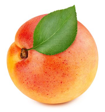 Beyaz arka planda izole edilmiş organik turuncu kayısı. Yapraklı kayısı tadı. Tam alan derinliği. kırpma yolu ile