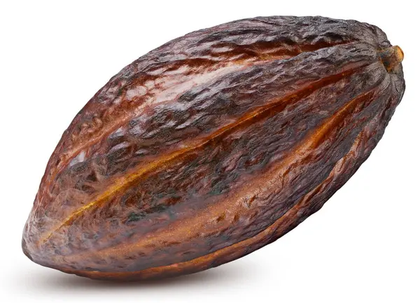 Braune Kakaoschoten Isoliert Auf Weißem Hintergrund Kakaobohne Mit Schnittpfad — Stockfoto