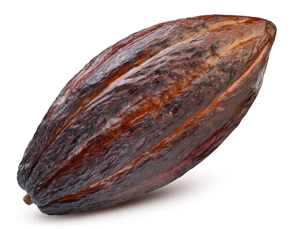 Braune Kakaoschoten Isoliert Auf Weißem Hintergrund Kakaobohne Mit Schnittpfad — Stockfoto