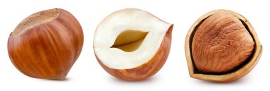 Fındık koleksiyonu. Kesme yolu olan fındık fıstığı. Fındık beyaz arka planda izole