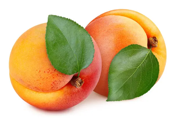 Aprikose Aprikosenfrucht Mit Blatt Isoliert Auf Weißem Hintergrund Schnittweg Marille Stockfoto