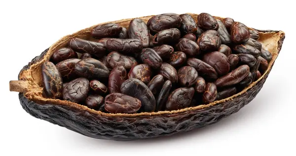 Какао Стручок Какао Стручок Выделен Белом Фоне Какао Бобы Вырезкой Стоковое Изображение
