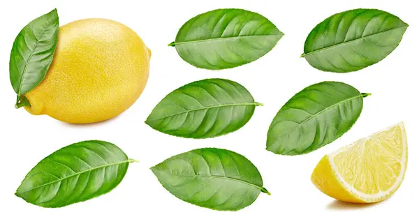 Coleção Limão Isolado Sobre Fundo Branco Cortando Limão Caminho Lemon — Fotografia de Stock