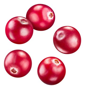 Cranberry berry. Cranberry isolated on white background. Cranberry clipping path