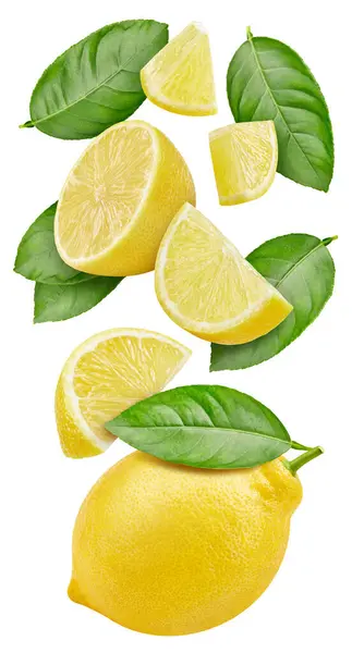 Літаючі Повітрі Лимонні Плоди Листям Ізольовані Лимон Білому Лимонний Відсічний Стокове Фото