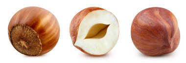 Fındıklı. Fındık, beyaz arka planda izole edilmiş. Fındık kesme yolu.