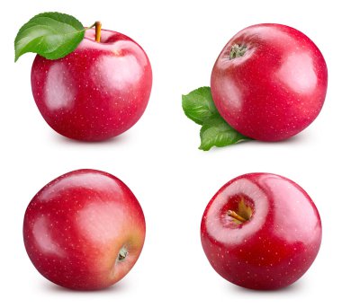 Kırmızı elma koleksiyonu izole edildi. Beyaz üzerine kırmızı elma. Tam alan derinliği. kırpma yolu ile