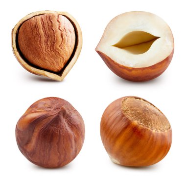 Hazelnut isolated. Hazelnut Filberton white background. Forest nuts with clipping path clipart