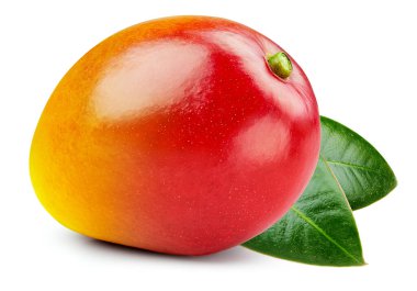Yapraklı olgun mango. Beyaz arka planda izole edilmiş organik mango. Yapraklı mango tadı. kırpma yolu ile