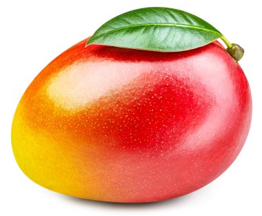 Beyaz arka planda yalıtılmış mango yapraklı mango meyvesi. Mango kırpma yolu. Profesyonel stüdyo makro çekimi