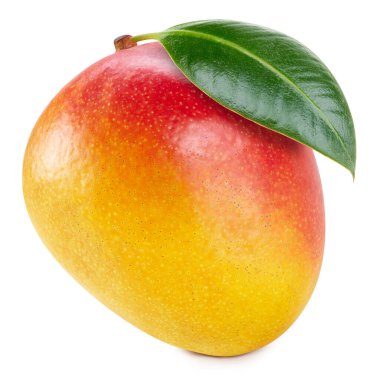 Beyaz arka planda yaprakları olan taze mango meyveleri. Kesme yolu olan mango. Mango yığını tam derinlikteki makro çekim alanı.