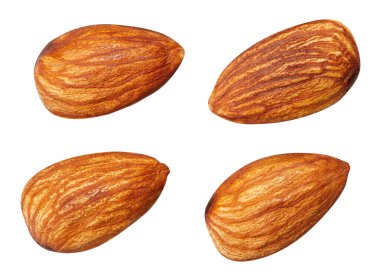 Badem koleksiyonu. Beyaz arka planda yalıtılmış badem meyveli fındık. Kesme yolu olan badem