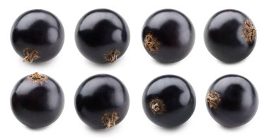 Kara frenk üzümü izole. Frenk üzümü izole edildi. Beyaz üzümlü kara frenk üzümü. Siyah frenk üzümü koleksiyonu.