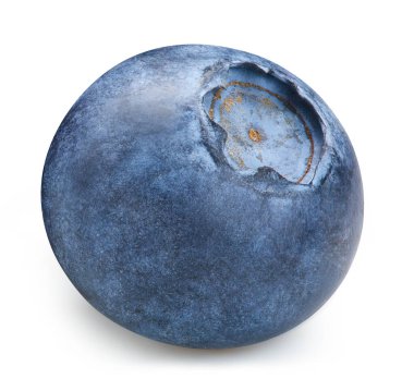 Yabanmersini. Yabanmersini makrosu beyaz izole edilmiş yiyeceğe malzeme atıyor. Yaban mersini yolu kırpılıyor