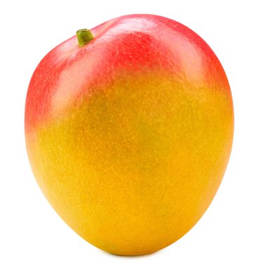 Mango kırpma yolu. Beyaz arka planda yalıtılmış mango meyvesi. Üst Düzey Erişim