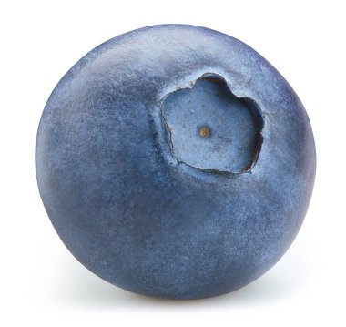 İzole edilmiş yaban mersini. Taze organik yaban mersini izole edilmiş kırpma yolu. Yabanmersini makro stüdyo fotoğrafı. Üst Düzey Erişim