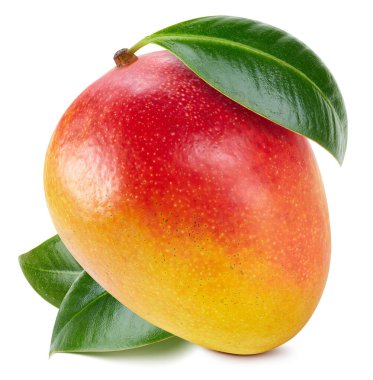 Yapraklı mango. Mango beyaz arka planda izole edilmiş. Mango makrosu