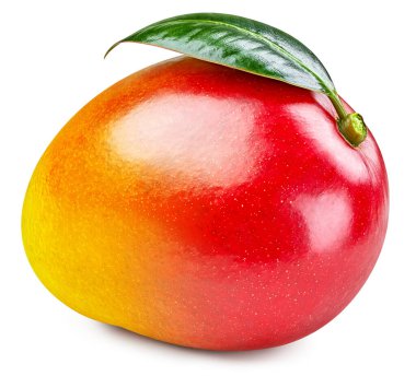 Mango kırpma yolu. Beyaz arka planda yalıtılmış mango yapraklı mango meyvesi. Üst Düzey Erişim