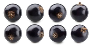 Beyaz arka planda siyah frenk üzümü var. Siyah frenk üzümü Kırpma Yolu Profesyonel stüdyo makro çekimi