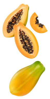 Papaya izole edilmiş. Papaya 'nın yarısı beyaza. Papaya izole et