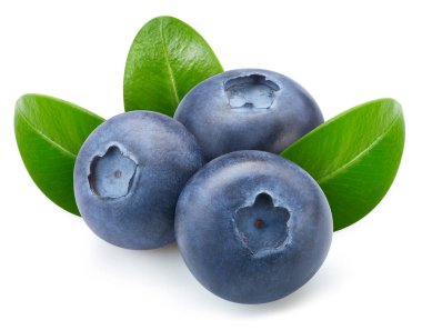 İzole edilmiş yaban mersini. İzole edilmiş yaprakları olan taze organik yaban mersini. Yabanmersini makro stüdyo fotoğrafı..