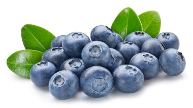 Yabanmersini. Beyaz arka planda yaprakları olan yabanmersini. Yabanmersini kırpma yolu.