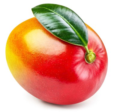 Mango. Beyaz arka planda izole edilmiş taze organik mango. Mango makrosu. kırpma yolu ile