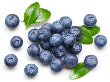 İzole edilmiş yaban mersini. İzole edilmiş yaprakları olan taze organik yaban mersini. Yabanmersini makro stüdyo fotoğrafı..