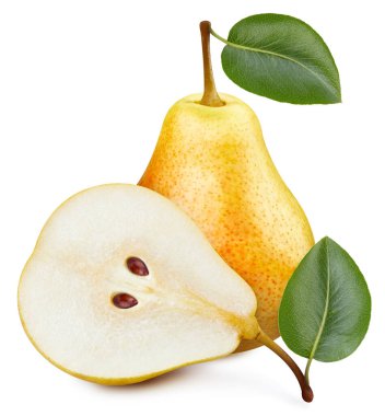 Yapraklı armut meyvesi. Beyaz üzerine sarı armut. Armut kırpma yolu.