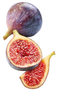 İncirle uçuyor. Havalanma inciri beyaz arka planda izole edilmiş. İncir yolu kırpılıyor