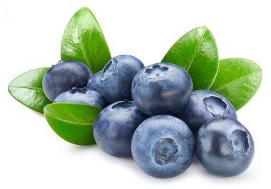 İzole edilmiş yaban mersini. İzole edilmiş yaprakları olan taze organik yaban mersini. Yabanmersini makro stüdyo fotoğrafı..