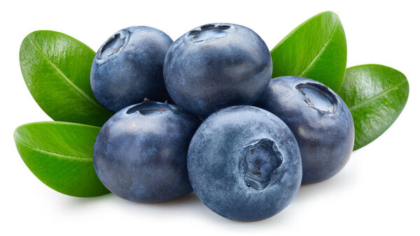 Isolated blueberry. Fresh organic blueberry with leaves isolated clipping path. Blueberry macro studio photo.