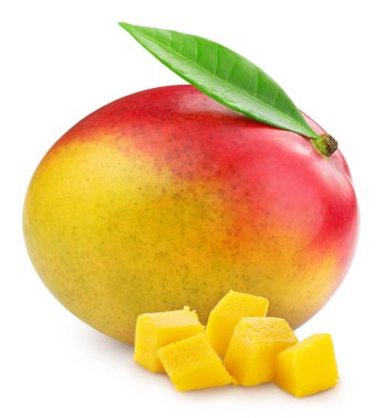 Beyaz arka planda yalıtılmış mango meyveleri ve yapraklar. Yaprak kırpma yolu ile mango