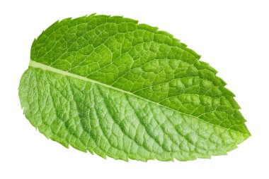 Nane yaprakları beyaza izole edilmiş. Naneli yapraklar kırpma yolunu açar. Naneli makro stüdyo fotoğrafı.