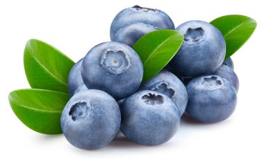 İzole edilmiş yaban mersini. İzole edilmiş yaprakları olan taze organik yaban mersini. Yabanmersini makro stüdyo fotoğrafı..