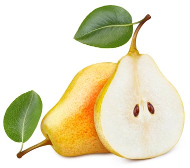 Yapraklı armut meyvesi. Beyaz üzerine sarı armut. Armut kırpma yolu.