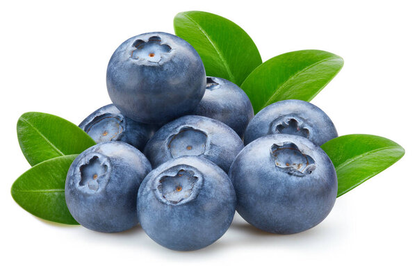 Blueberry isolated on white background. Ripe fresh blueberry Clipping Path. Blueberry with leaf