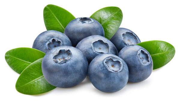 Isolated blueberry. Fresh organic blueberry with leaves isolated clipping path. Blueberry macro studio photo.